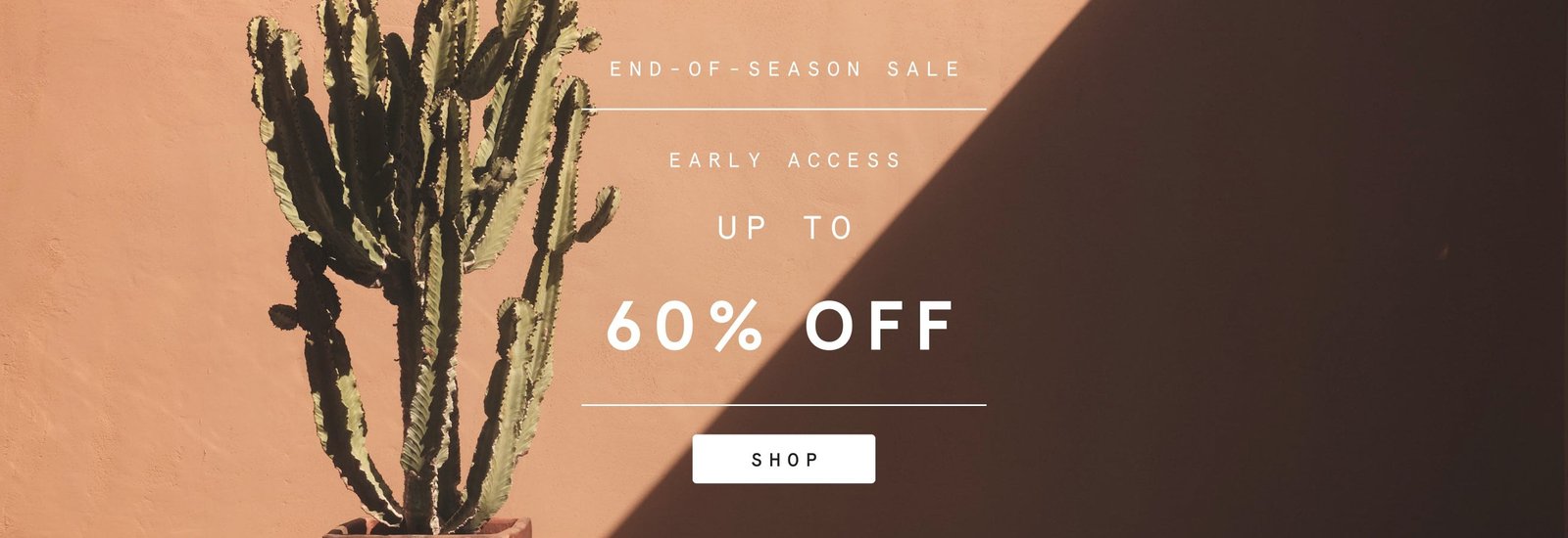 sale preview