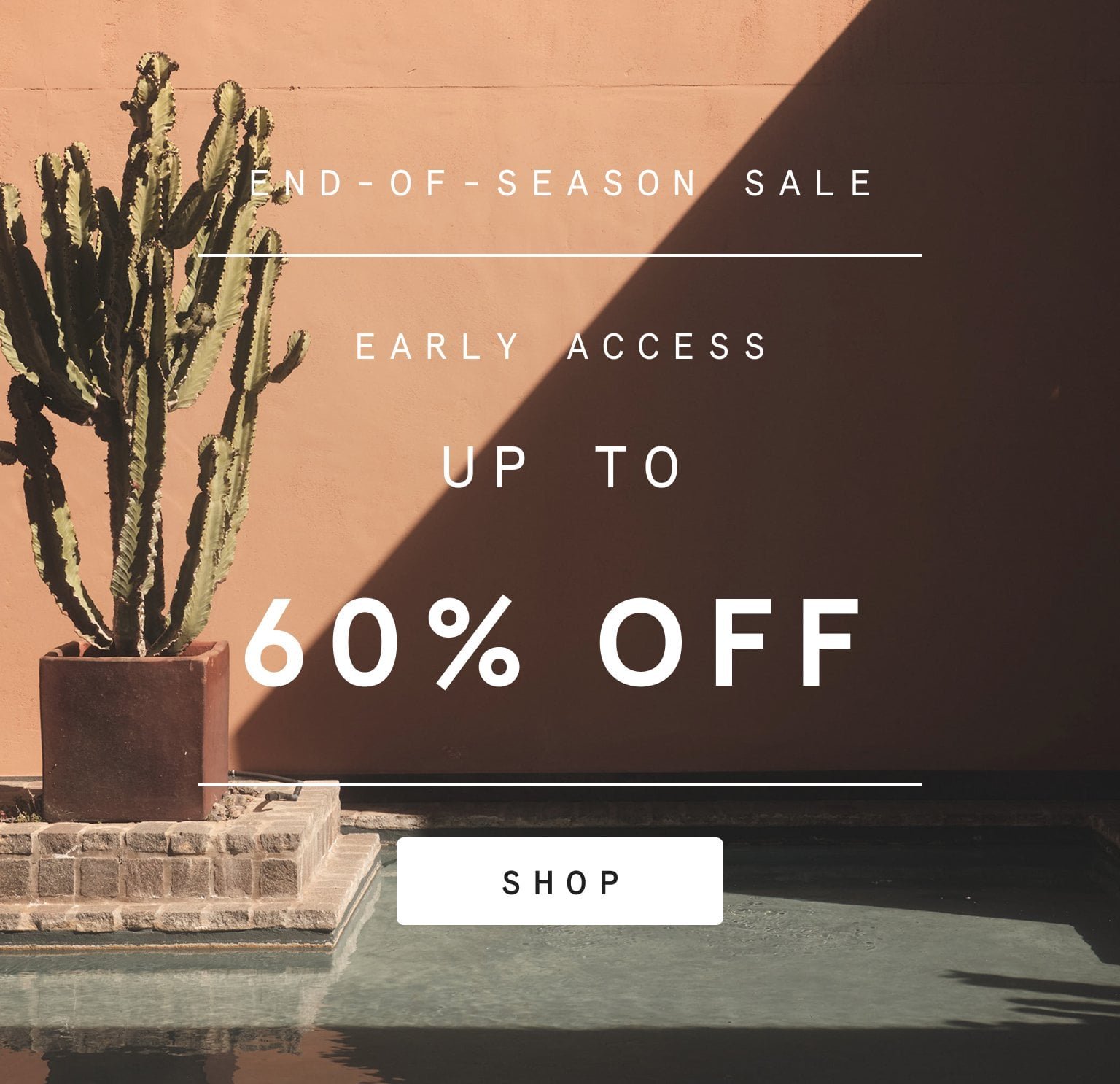 sale preview